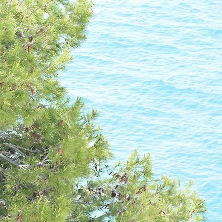 Blancos Rooms Hotel Peñíscola Εξωτερικό φωτογραφία